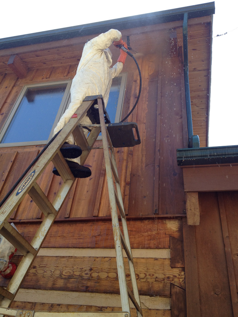 Surface & Pressure Washing